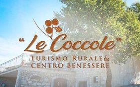 Le Coccole